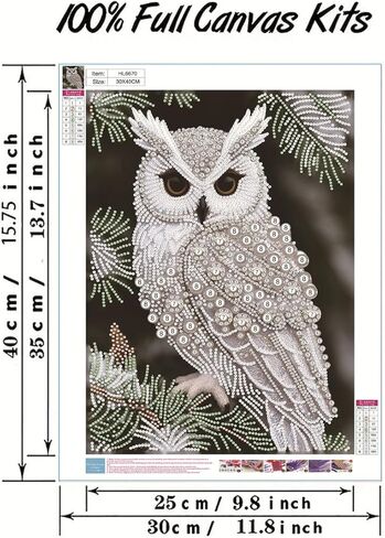 GEMFAMILY Owl Diamond Art Painting Kits for Adults,Animals Birds Pearl Painting Kits for Special Shape,DIY Pearl Diamond Dots Gem Art Craft for Home Decor 12 x 16 inch in Kuwait