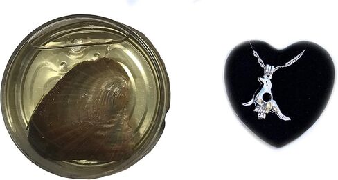 Love Pearl Creations Animals Wish Kit with Pendant Necklace (Sea Lion) in Saudi Arabia