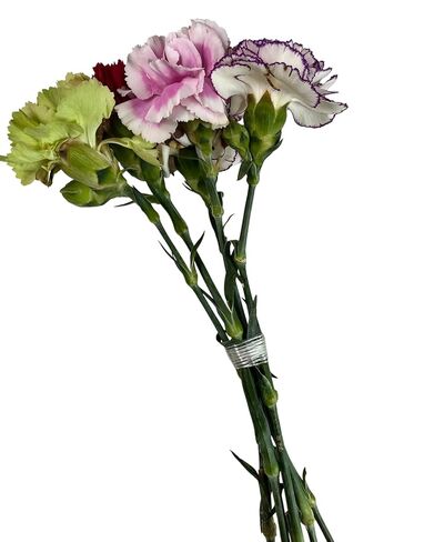 4 Rolls Clear Floral Fiberglass Tape, 1/4" Flower Arrangement Tape for Bouquet Stem Binding, Wedding Florist Craft Supplies (4, 1/4 in) in Saudi Arabia