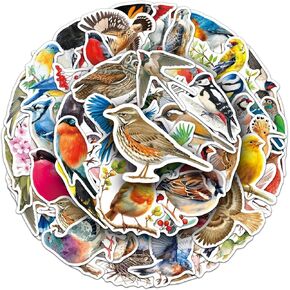 50Pcs Bird Stickers Including Common and Rare Species, Suitable for Nature Diaries, Bird Watching Records, Study Notes, Travel Accounts, and Students' Education Materials (Bird) in Saudi Arabia