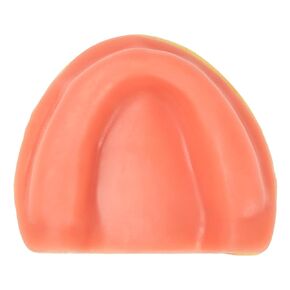 Dental Implant Training Maxillary Edentulous Model, Simplified Maxilla with Soft Tissue, Great Training Tooth for Implant Practice in Saudi Arabia