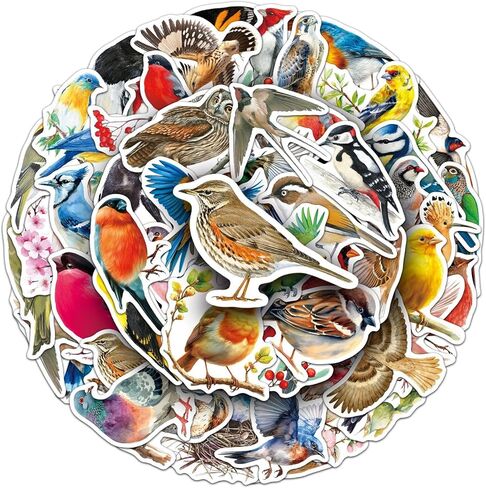 50Pcs Bird Stickers Including Common and Rare Species, Suitable for Nature Diaries, Bird Watching Records, Study Notes, Travel Accounts, and Students' Education Materials (Bird) in Saudi Arabia