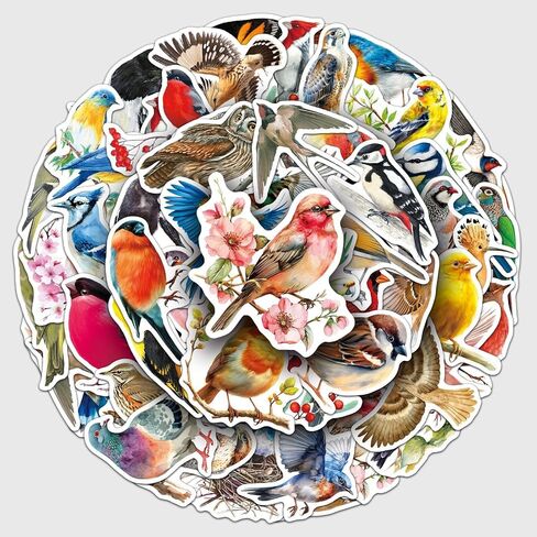 50Pcs Bird Stickers Including Common and Rare Species, Suitable for Nature Diaries, Bird Watching Records, Study Notes, Travel Accounts, and Students' Education Materials (Bird) in Saudi Arabia