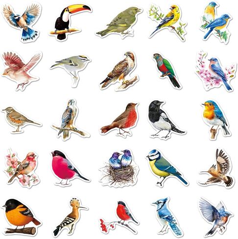 50Pcs Bird Stickers Including Common and Rare Species, Suitable for Nature Diaries, Bird Watching Records, Study Notes, Travel Accounts, and Students' Education Materials (Bird) in Saudi Arabia
