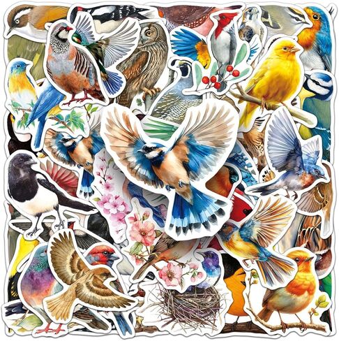 50Pcs Bird Stickers Including Common and Rare Species, Suitable for Nature Diaries, Bird Watching Records, Study Notes, Travel Accounts, and Students' Education Materials (Bird) in Saudi Arabia
