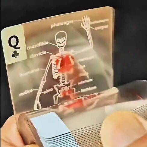 The Body Deck Transparent Anatomy Playing Cards, 3D Educational Card Deck, Waterproof Plastic Cards for Medical Students and Collectors (1 Pack) in Saudi Arabia