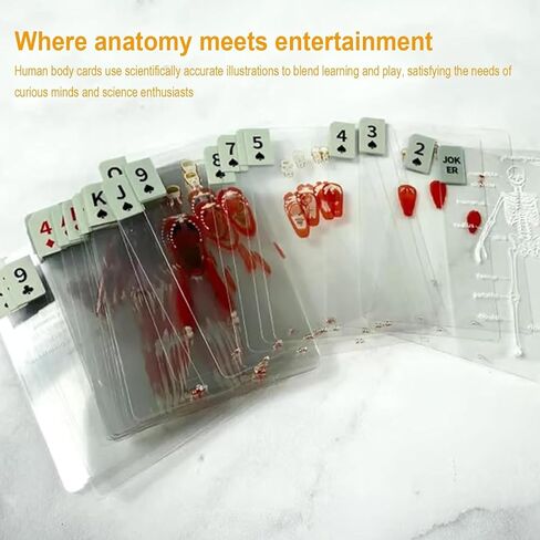 The Body Deck Transparent Anatomy Playing Cards, 3D Educational Card Deck, Waterproof Plastic Cards for Medical Students and Collectors (1 Pack) in Saudi Arabia