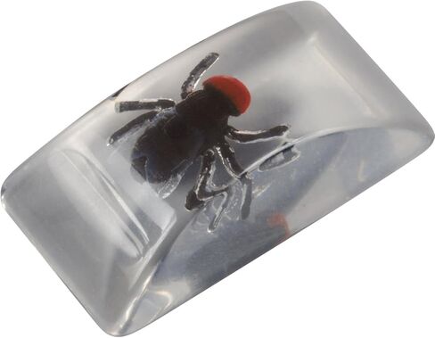 Realistic Looking Fly in an Ice Cube Bar Bug 1.5in Prank, Clear Black, 3 Pack in Saudi Arabia