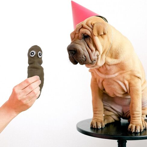 Novelty 2 Design Squishy Stretchy Fake Poo Stress Relief Toys, Funny Joke Fidget Anxiety Prank Poop Shape Sensory Toy for Adults Teens Birthday Party Favor in Saudi Arabia