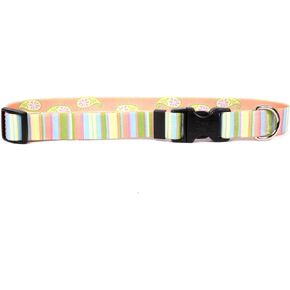 Yellow Dog Design Stars & Stripes Pet Collar – Size Cat – 3/8 Inch Wide