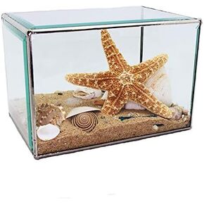 Beach Kaleidoscopes (Pyramid Size 3 inch) Beveled Glass, Hand Soldered, Fill with Choice Seashells and Starfish., sterlized Sand.