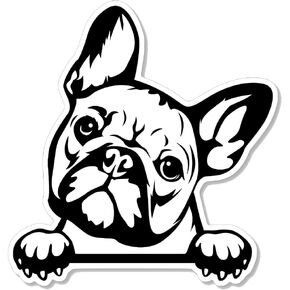 ملصق Peeking French Bulldog (عبوة من قطعتين) مقاس 3.75 سم × 3.5 سم، ملصقات Peeking Bulldog مع كفوف من الفينيل للسيارات ونوافذ السيارات وزجاجات المياه والهواتف. هدية لمالك البلدغ الفرنسي، الرجال والنساء