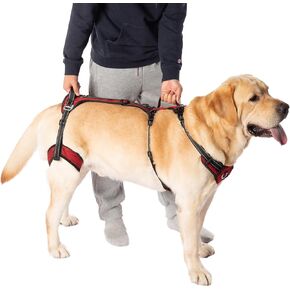 COODEO Mobility Dog Lift Harness, Support Sling for Dog, Dog Walking Sling, Pet Rear Leg Support Rehabilitation Lifts Vest, Dog Carrier for Senior Dogs with Arthritis, Up Stair (Red, S)