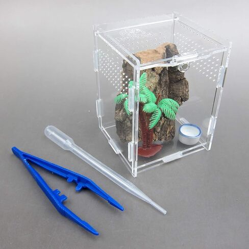 Alfie Pet - Eric Living Habitat for Spiders, Hermit Carbs, Amphibians in Kuwait