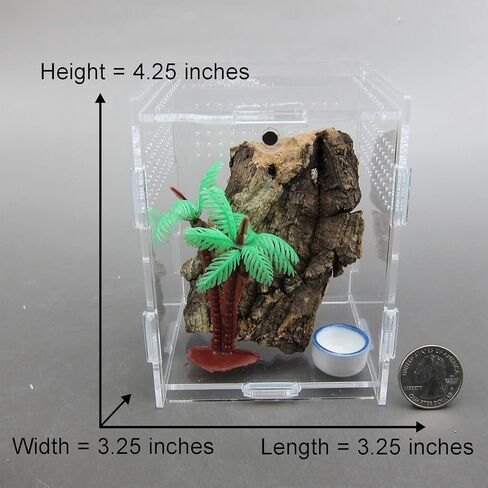 Alfie Pet - Eric Living Habitat for Spiders, Hermit Carbs, Amphibians in Kuwait