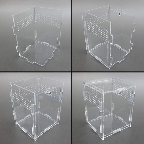 Alfie Pet - Eric Living Habitat for Spiders, Hermit Carbs, Amphibians in Kuwait