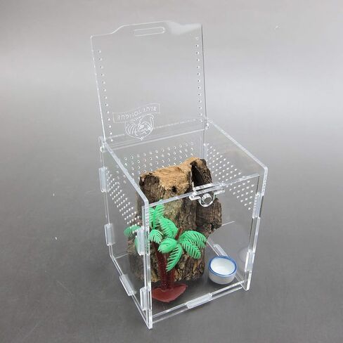 Alfie Pet - Eric Living Habitat for Spiders, Hermit Carbs, Amphibians in Kuwait