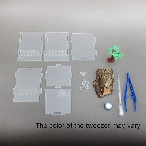 Alfie Pet - Eric Living Habitat for Spiders, Hermit Carbs, Amphibians in Kuwait