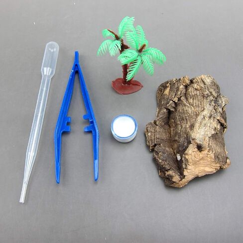 Alfie Pet - Eric Living Habitat for Spiders, Hermit Carbs, Amphibians in Kuwait