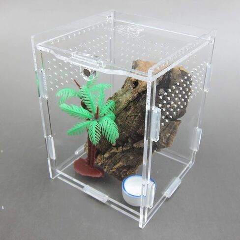 Alfie Pet - Eric Living Habitat for Spiders, Hermit Carbs, Amphibians in Kuwait