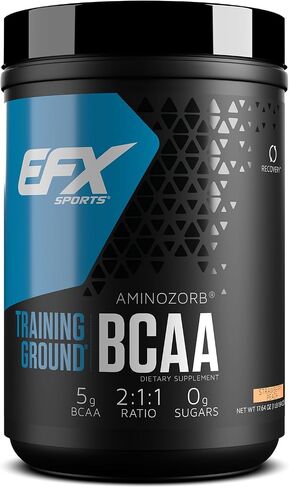 EFX Sports Training Ground BCAA | Fully Stable, Highly Soluble Amino Acids Supplement | Pre, Intra, or Post Workout | Sugar Free | 500 Grams (Lemonade) in Saudi Arabia