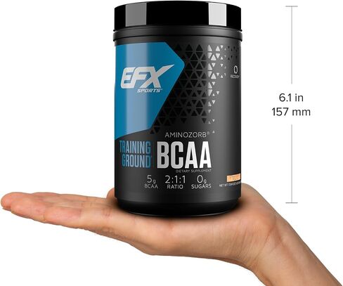 EFX Sports Training Ground BCAA | Fully Stable, Highly Soluble Amino Acids Supplement | Pre, Intra, or Post Workout | Sugar Free | 500 Grams (Lemonade) in Saudi Arabia