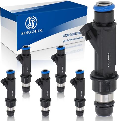 Sorghum Fuel Injectors Set of 6 Compatible with Jeep Grand Cherokee 2005-2010 Liberty Commander Dodge Dakota Durango Nitro Ram 1500 2004-2012 V6 3.7L Replace# 0280158020 53032701AA RL032701AA FJ474 in Saudi Arabia
