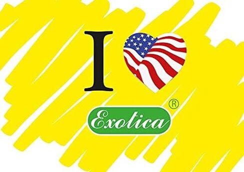 Exotica Car Air Freshener | Spill-Proof Can | Organic | for Home & Auto | Long Lasting Freshness | (Pack of 12) Coconut in Saudi Arabia