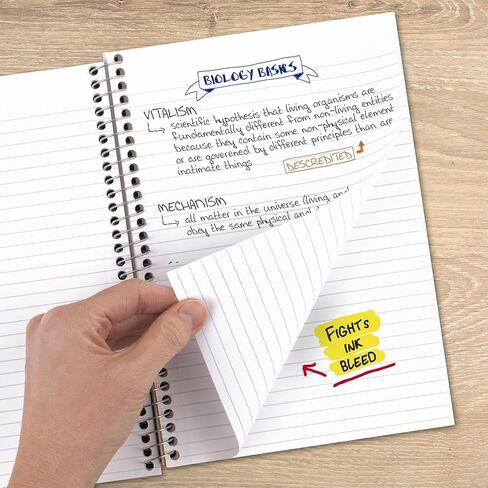 Five Star Spiral Notebook, 2 Subject, College Ruled Paper, 6" x 9-1/2", 80 Sheets, Fights Ink Bleed, Water Resistant Cover, White (840029E) in Kuwait