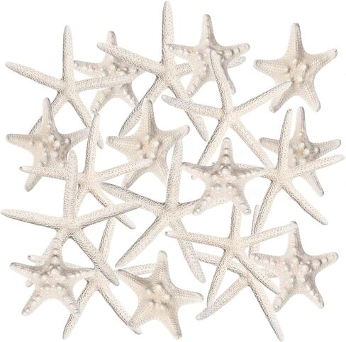 Nautical Crush Trading نجم البحر وديكور نجم البحر - (5) نجم البحر الأبيض 4-6 "و (5) نجم البحر Knobby 2-3.5" - ديكور زفاف الشاطئ - ديكورات الحفلات الساحلية - ديكور صدف in Kuwait