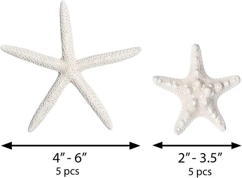 Nautical Crush Trading نجم البحر وديكور نجم البحر - (5) نجم البحر الأبيض 4-6 "و (5) نجم البحر Knobby 2-3.5" - ديكور زفاف الشاطئ - ديكورات الحفلات الساحلية - ديكور صدف in Kuwait