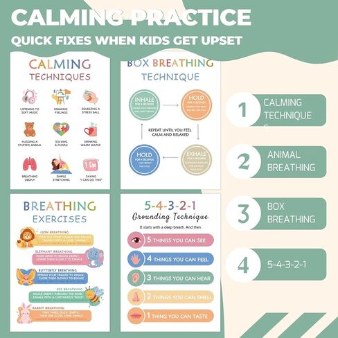 XXBUSSING Calming Corner Posters for Classroom, 12 Pcs Toddler Learning Posters Feelings Chart for Kids Homeschool Calm down Corner Supplies Learning Wall Decor for Classroom in Kuwait