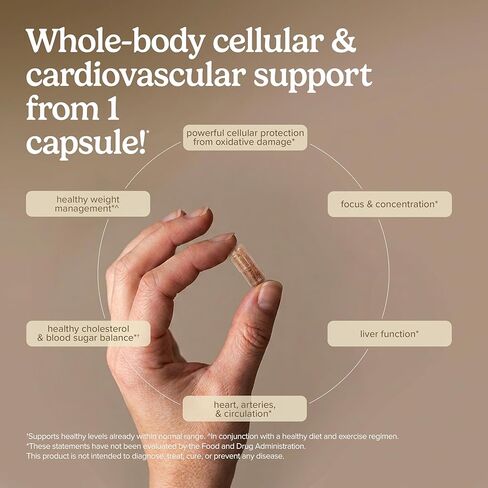 Terry Naturally Clinical OPC - مكمل لدعم صحة القلب والأوعية الدموية والتركيز - مكمل غذائي مع مستخلص بذور العنب وليسيثين عباد الشمس - دعم المناعة - 150 مجم، 60 كبسولة هلامية (عبوة من قطعتين) in Kuwait