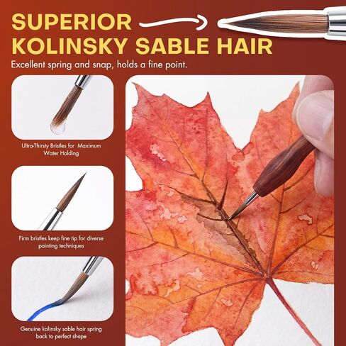 مجموعة فرش صغيرة من Golden Maple Kolinsky Sable - 4 رؤوس قابلة للاستبدال ومقبض من خشب الصندل الأحمر للنماذج المصغرة، رسم تفصيلي احترافي، ألوان مائية وأكريليك، مقاس 3/0 2/0 0 1 in Saudi Arabia