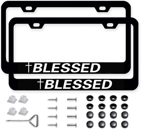 2Packs License Plate Frame Auto Stainless Steel Car Tag Frame with Screws Purple Glass Flower Floral Car Accessories for Women in Saudi Arabia