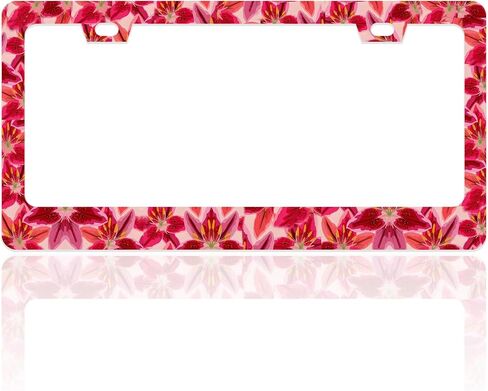2Packs License Plate Frame Auto Stainless Steel Car Tag Frame with Screws Purple Glass Flower Floral Car Accessories for Women in Saudi Arabia
