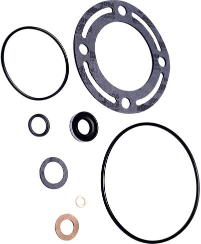 Power Steering Pump Seal Kit for Ford F-150 1975 1976 1977 for Ford F-250 1973 1974-1977 for Ford F-350 1975-1977 for Ford Mustang 1965-1973 for Ford Bronco 1972-1977 1 Pcs in Kuwait