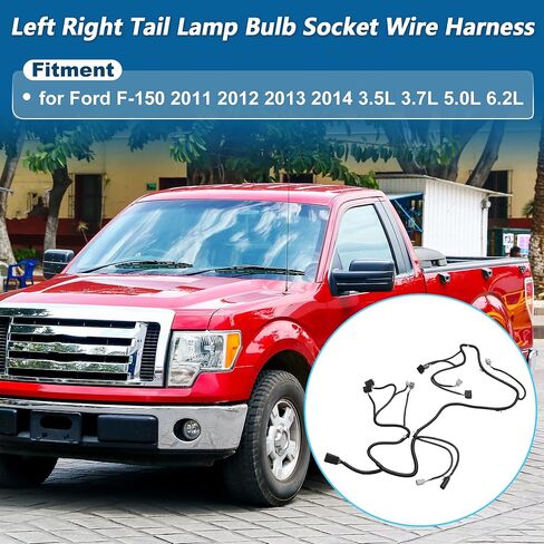 BL3Z-13A409-B الذيل ضوء مصباح الأسلاك تسخير لفورد F-150 2011 2012 2013 2014 3.5L 3.7L 5.0L 6.2L اليسار واليمين الذيل ضوء لمبة الأسلاك تسخير in Kuwait