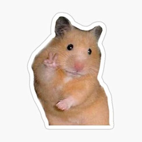 ملصق Peace Hamster Meme - ملصق جرافيك - تلقائي، جدار، كمبيوتر محمول، خلية، ملصق شاحنة للنوافذ، السيارات، الشاحنات in Kuwait