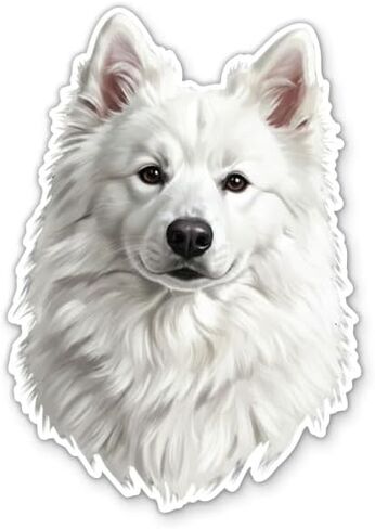 ملصق American Eskimo Dog - لزجاجة المياه والهاتف والكمبيوتر المحمول - ملصق Eskie - فينيل مقاوم للماء - 3 بوصة in Kuwait