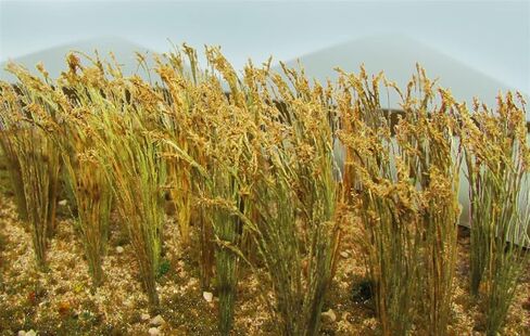JTT Scenery 95637 HO Scale Wheat (40) in Kuwait