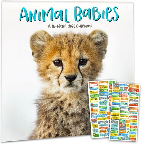 Baby Animals Calendar 2026 - Deluxe 2026 Animal Babies Wall Calendar Bundle with Over 100 Calendar Reminder Stickers (Cute Wildlife Gifts, Office Supplies) in Saudi Arabia