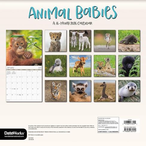 Baby Animals Calendar 2026 - Deluxe 2026 Animal Babies Wall Calendar Bundle with Over 100 Calendar Reminder Stickers (Cute Wildlife Gifts, Office Supplies) in Saudi Arabia