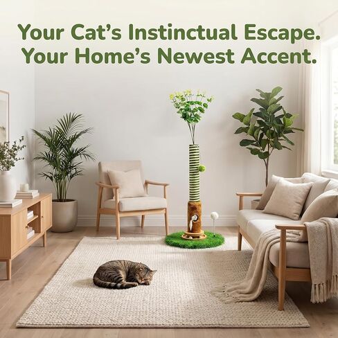 Cat Beds for Indoor Cats, Expandable Indoor Cat House and Cat Hideaway, Muti-Functional Cat Condo with Breathable and Wearing Resistant Cloth Cover, 15.75×15.75×15.75 inches, Grey in Saudi Arabia