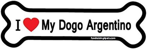 I Love My Dogo Argentino Bone Magnet in Kuwait