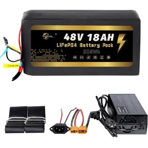48V 52V 20AH 25Ah LiFePO4 Lithium B-attery Pack with 40A BMS for 0-1000W Motor(48V 20AH,0-1000W) in Saudi Arabia