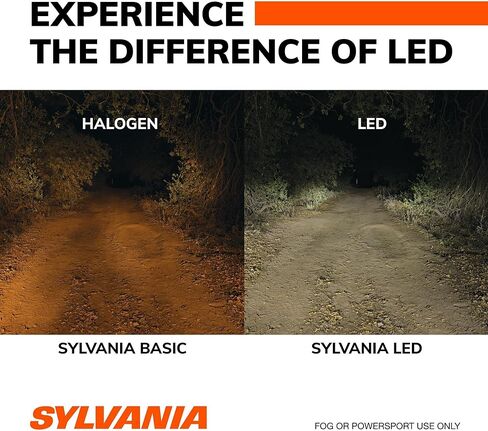 SYLVANIA 9006 LED - مصابيح الضباب للسيارات والشاحنات - المصابيح الأمامية للرياضات على الطرق الوعرة - ضوء LED أبيض بارد 6000 كيلو - مصابيح طويلة الأمد - بدون قطبية - ترقية DIY in Kuwait