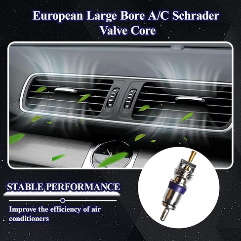 （10pcs）European Large Bore A/C Schrader Valve Core for MT1544 BMW 64536922944 Mercedes Mini 0008320285 VW 8E0820855 for 134A & R12 Sysems in Saudi Arabia
