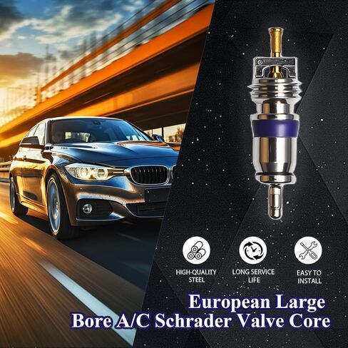 （10pcs）European Large Bore A/C Schrader Valve Core for MT1544 BMW 64536922944 Mercedes Mini 0008320285 VW 8E0820855 for 134A & R12 Sysems in Saudi Arabia