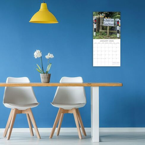 The Gifted Stationery 2026 Square Wall Calendar - 16-Month Wall Calendar & Road Sign Humor - 12x12 Grid & Stickered Layout - Preprinted Holidays Planning - 12 x 12 in, Sep 2025-Dec 2026 in Kuwait